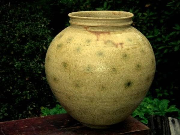 Amazon.co.jp: 各務周海 黄瀬戸 壺 花瓶 花器 骨董 古玩 : ホーム ｜陶芸