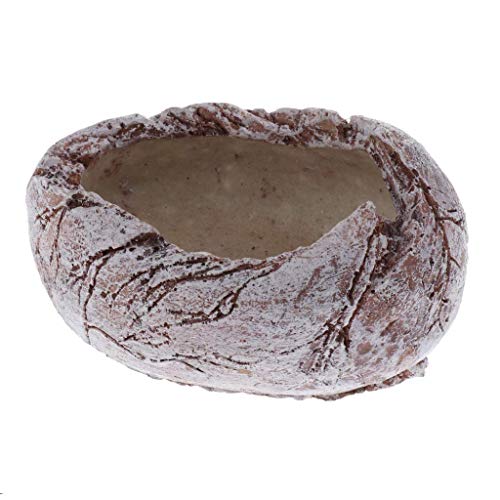 Tubayia Harz Reptiliennapf Futternapf Wassernapf Futterschale für Terrarium Reptilien Schildkröte Eidechse (Typ 1)