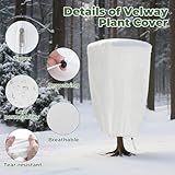 Velway B0FH6S2PP3 lato 3