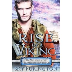 Rise of a Viking Audiolibro Por Sky Purington arte de portada