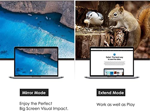 Image of CableCreation Multi-function Displayport to HDMI /DVI /VGA Adapter, 3 in 1 DP Displayport Adapter, Support HDMI 4K x 2K Resolution, Black