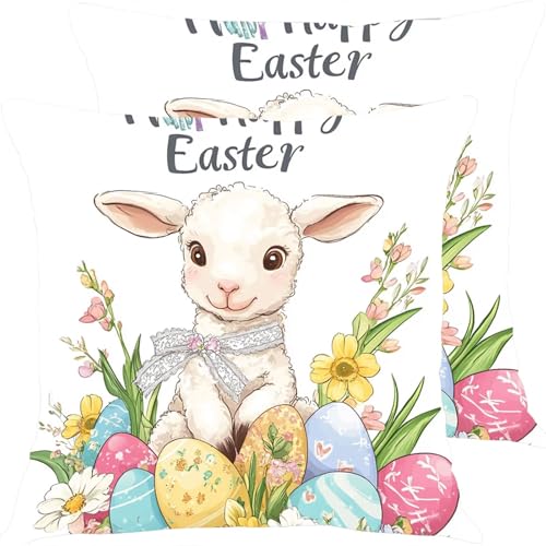 �N�b�V�����J�o�[ 35x35cm �h���N�b�V�����J�o�[ �A�E�g�h�A�\�t�@�[�N�b�V���� 2�_�Z�b�g �K�[�f���V�[�g�������J�o�[ ���l������ �����s���[�J�o�[, �l�G�ʗp �щB���t�@�X�i�[�� ���ʃp�^�[���N�b�V���� �K���� ���蕨�ɂ��� �j���̗r X8JJ-4