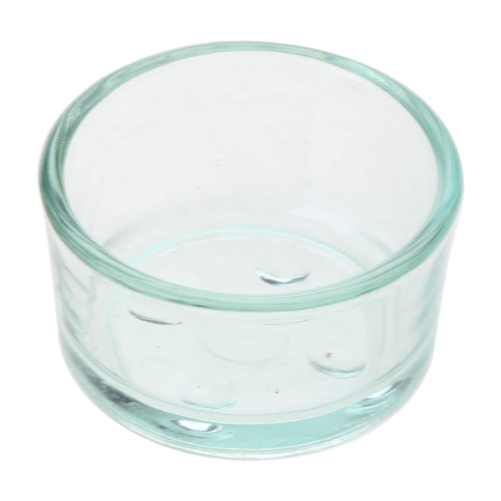 NEWFT Reptiles Food Bowl Anti-Escape Reptiles Glass Feeding Reptiles Drinker Cup for Lizards