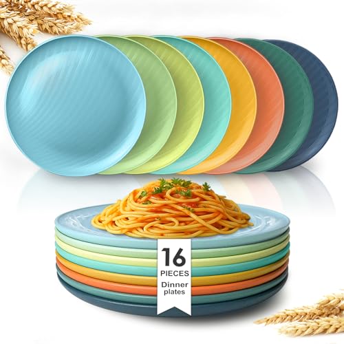 Teivio 16-Piece Kids Dinner Plates Set