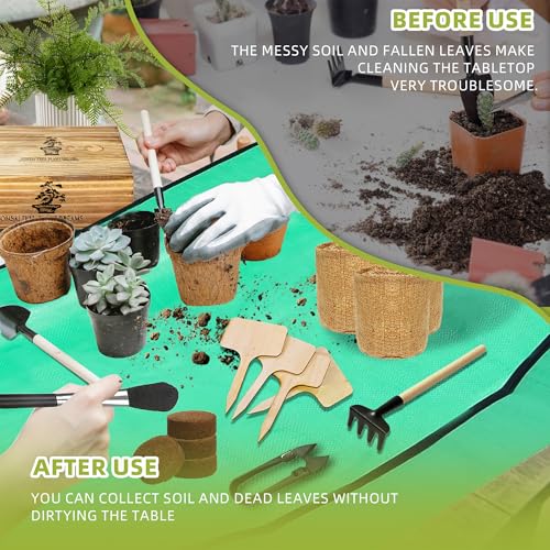 Kit de cultivo de árbol bonsai todo en uno miniatura 4