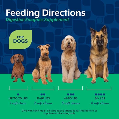 Image of NaturVet Digestive Enzymes with Pre & Probiotic Dog Supplement - 70 Count