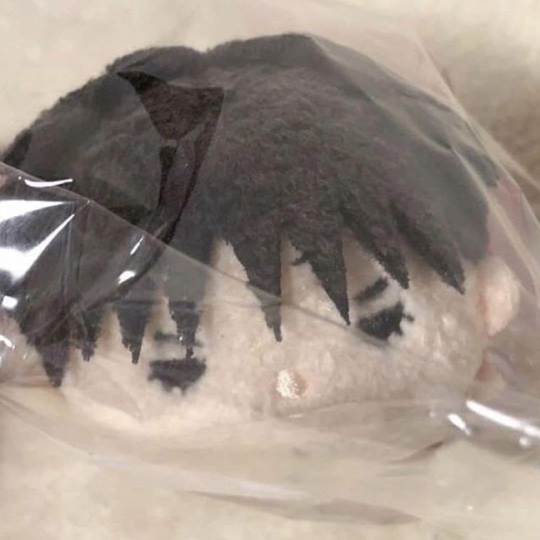 Amazon.co.jp: スラムダンク 流川楓 おてだま ジャンプ展 TTGI