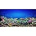 AWERT Fondo de acuario de 120 x 50 cm, fondo de acuario de coral subacuático, fondo de vinilo duradero (no adhesivo)