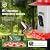 Hummingbird Feeder with Camera Outdoor, SV3C Hanging Bird Feeder with Ant Moat & Bee-Proof, HD 2K Solar Powered, AI Bird Identify, Instant App Alerts, Auto Capture, Hummingbird Lover Gifts, 21oz, Red