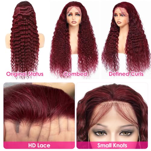 Image of Pizazz 99J HD Lace Front Wigs Human Hair Pre Plucked Pre Bleached