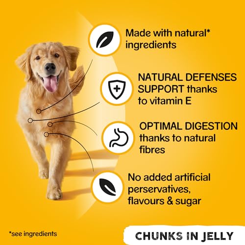 Pedigree Huhn und Karotten in Gelee, Nassfutter für Hunde, 24 Dosen à 400 g