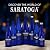 Saratoga Sparkling Water Bottles, 12-Pack - Carbonated Spring Bottled Water with Naturally Occurring Minerals & Electrolytes - Recycled PET Plastic Bottles - 28 Fl Oz