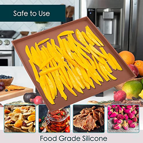 OSHLANT Packung mit 6 Dörrautomaten aus Silikon, quadratische Dörrschalen, antihaftbeschichtet, für Fleisch, Gemüse, Obst, Lebensmittel-Trocknermatte – Bild 3