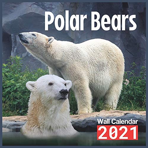 Polar Bears Calendar 2021: Polar Bears Wall Calendar 2021-2022 Size 8.5 x 8.5 Inch Monthly Square Wall Calendar,16 Month Calendar 2021 Glossy Finish For Women, Men