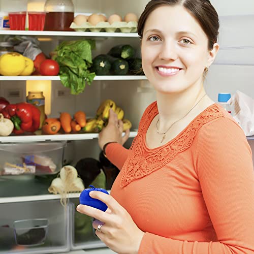 Bluapple Produce Saver 2-Pack - Keeps Fruits & Vegetables Fresh Longer In Refrigerator Crisper, Shelves, And Fruit Bowls, Lasts Up To 3 Months, Ethylene Gas Absorber, Bpa Free, Made In Usa #TOP5