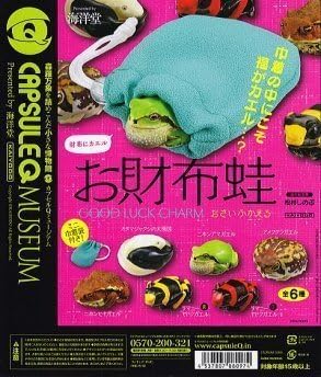 Frog wallet frog in capsule Q Museum purse [ 1. Hyla japonica ] (single )