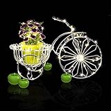 KINGLUX Decorative Indoor outdoor Christmas Party String Lights Starry lights flexible string Silver Wire Lights for Wedding Bedroom Holiday Pub Club,Time Setting Cool white 6000K 32.8FT/10M