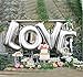 B-G 40'' LOVE Balloon Set Bridal Shower Party Birthday Vow Renewal Wedding Decoration (Sliver)