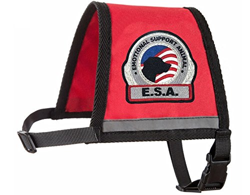 Workingservicedog.com Premium Esa Emotional Support Dog Vest - Reflective - Zipper Pocket - Id Holder - Includes 5 Federal Law Esa Handout Cards (29-35" Girth, Red) #TOP6