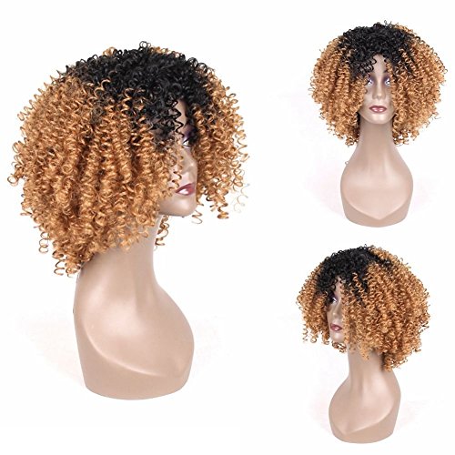 Jiayi Afro Kinkys Curly Ombre Wigs for Black Women Synthetic Hair Heat Resistant Fiber Glueless Short Wigs with Free Wig Cap for Daily Wear Black to Blonde(1B/27)