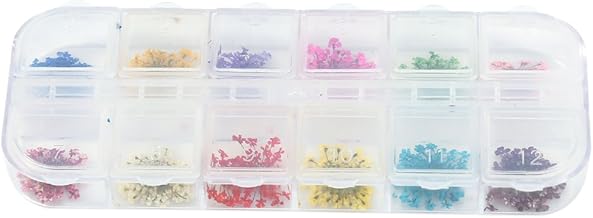 12 Colors Real Dried Flowers Nail Decoration Manicure Design Accessories Box Natural Flowers for UV Builder Acrylic Natural Nails 12 9 x 5 x 1.5cm