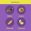 GO DESi Dates Dry Fruit Barfi - 200 grams | 93% Dry Fruits | No Added Sugar | Sweets | Burfi gallery image