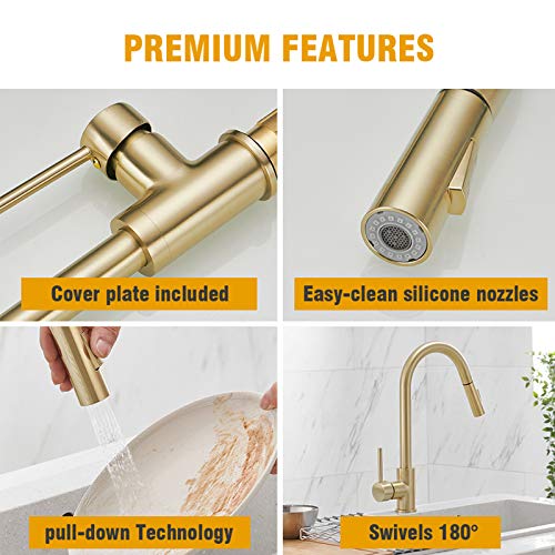 Besy Gold Single Handle Kitchen Sink Faucet With Pull Out Sprayer,Rv Kitchen Faucet With Pull Down Sprayer, 2 Function Laundry Faucet, Brass/Brushed Gold(1 Or 3 Hole Mount) #TOP5