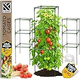Square Tomato Cage - Large Trellis Stakes and Plant Support Structures for Vegetables and Climbing Plants - Tall Tomato Cages for Garden, Pots, Raised Garden Bed Outdoor Supplies (3 Pack - Up to 41')