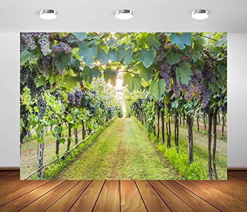 BELECO 5x3ft Fabric Vineyard Backdrops for Photography Countryside Grapevines Vineyard Landscape Winery Background Farm Grapes Harvest Wine Party Decor Portrait Photoshoot Studio Booth Props
