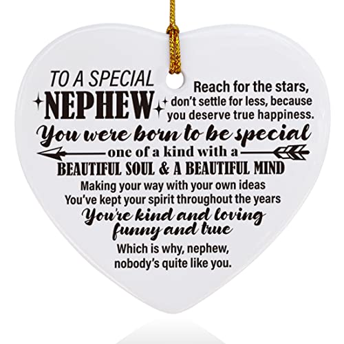 Image of Nephew Gifts from Auntie Aunt Uncle, Christmas Tree Keepsake Ornaments Gifts for Nephew from Auntie Aunt Uncle, Holiday Christmas Tree Decorations Ornaments Sign, You were Born to Be Special