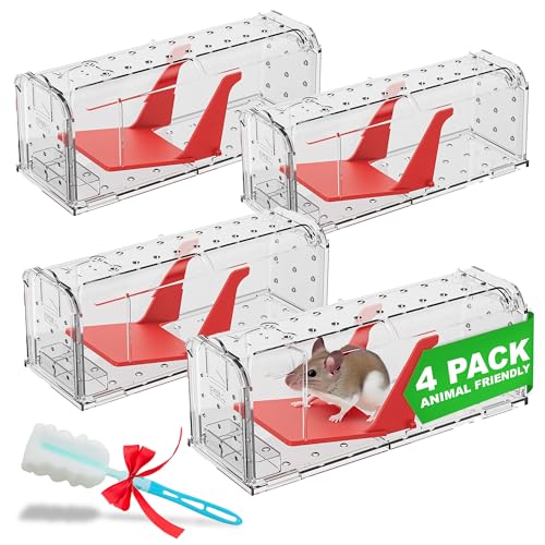 ROSHIELD 4 X Humane MOUSE Traps for Indoors and Outdoors Duty Pest Trap for Catch Alive. Pets and Children Friendly. Reusable Rodent Mice Trap. Quick Effective and Highly Sensitive Catcher