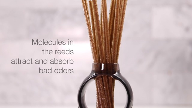 Watch Alio Reed Diffuser on Amazon Live