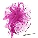 DRESHOW Fascinators Hat Flower Mesh Ribbons Feathers on a Headband and a Clip Tea Party Headwear for Girls and Women