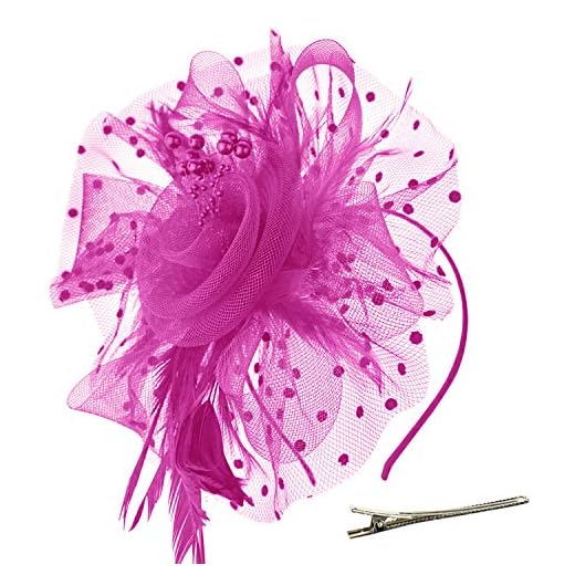 DRESHOW Fascinateur Chapeau Plume Mariage Dames Day Bandeau et Clip Cocktail Tea Party Chapeau pour Fille et Femmes