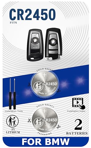 Key Fob Replacement Batteries for BMW (2009-2018) CR2450 (2 3 5 6 7 Series X3 X4 etc. 320i 320xi 328i 328xi 335i 335is 335xi F22 F45 F46 528i 528xi 535i 535xi 550i 550xi F32) Key Remote (Pack of 2)