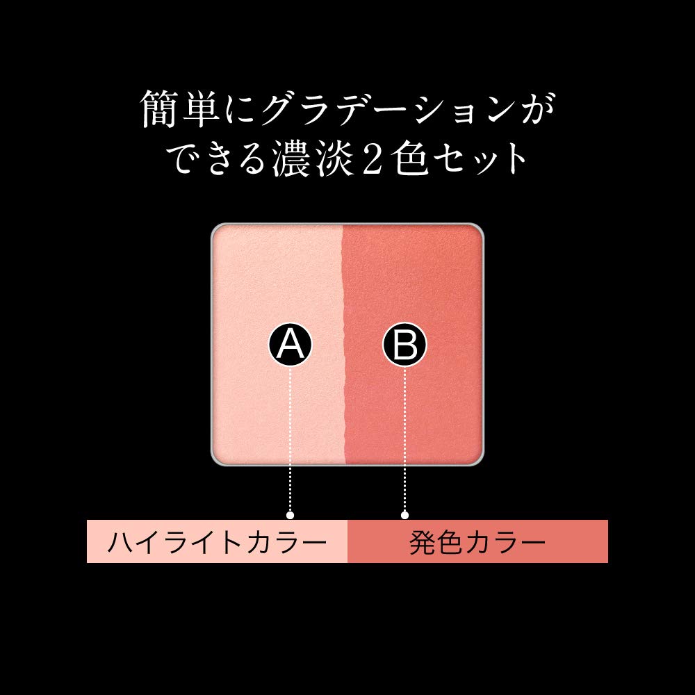 Amazon | KATE(ケイト) ケイト スリムクリエイトチークス RD-1 RD-1 