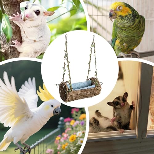 Hamaca de animales pequeños para hámster sirio en jaula interior 7