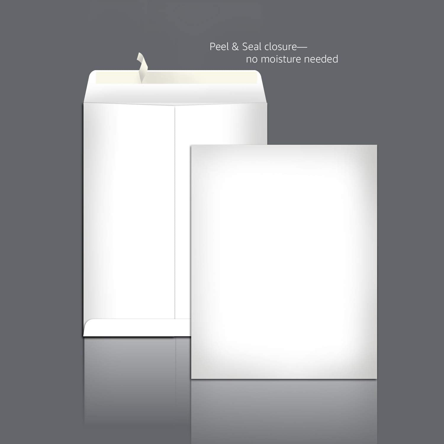 Amazon Basics Catalog Mailing Envelopes, Peel & Seal, 9x12 Inch, 100-Pack, White and Amazon Basics Catalog Mailing Envelopes, Peel & Seal, 6x9 Inch, Brown Kraft, 100-Pack