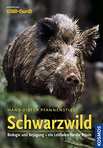 Schwarzwild Schwarzwild