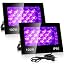 2 X 100 W Uv