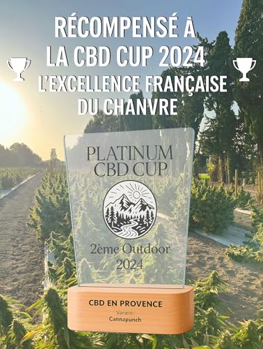 Huile de Chanvre Premium 20% Pressée à Froid | Huile de Graines de Chanvre Sativa | Formule Naturelle | Made in France | Soin Relaxant Corps et Massage | 10ml (20%) (Nature) (Nature)