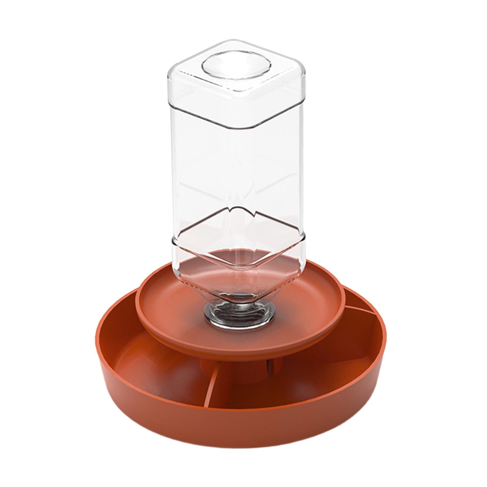 Cuenco para alimentar anfibios y reptiles con dispensador automático que evita vuelcos de agua