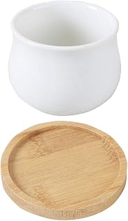 Hemoton Hoog kwaliteit Minipote suculento para jardinagem, plantio de cerâmica e pires de bambu
