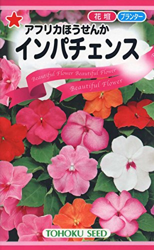 ホームセンターで種の価格を元ホームセンター店長が比較しました 1番安くておすすめなのはこの店です 元ホームセンター店長の日常