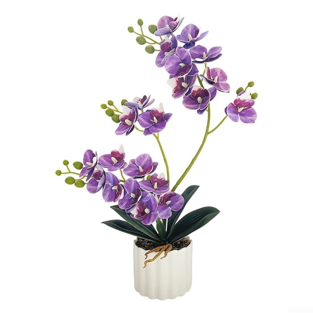 STUWBPLIC 1 Artificial Phalaenopsis Orchid Plant, Fake Plastic Phalaenopsis Plant for Home Decoration,E