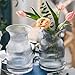 New 2026 Design Ribbed Glass Vase Wide - 8 Inch Tall Ribbed Vase for Wedding Reception, Home Decor, Housewarming Gift (Clear) Decorative Flower Vases - Bud Vase for Centerpieces Cylinder Vases