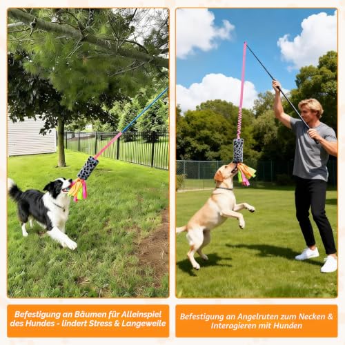 Bestwist Zerrspielzeug Hund, Training Interaktives Hundespielzeug für Kleine, Mittlere und Große Rassen, Plüsch Hundespielzeug Quietschend für Langeweile, Linderung von Angstzuständen