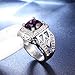 PMTIER Men's Vintage Stainless Steel Cubic Zirconia Ring Statement Engagement Wedding Bands Silver Purple Size 11