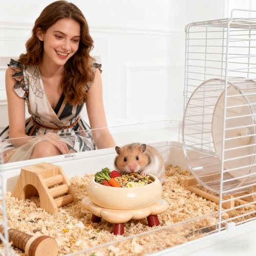 Bol d'eau pour hamster : prenez soin de vos souris et gerbilles au quotidien