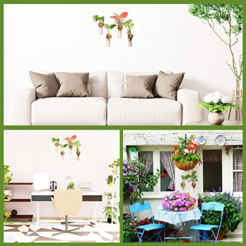 Husslean Plant Propagation Station Terrarium,Glass Propagation Stations Wall Hanging Planter Tubes For Garden Office Decoration,Plant Holder Lover Gifts (4 Vase) #TOP4